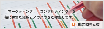 販売戦略支援
